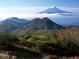 Takeshiiiiiiiii