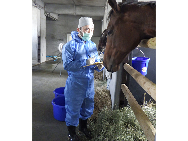 輸出入される動物の検査をする