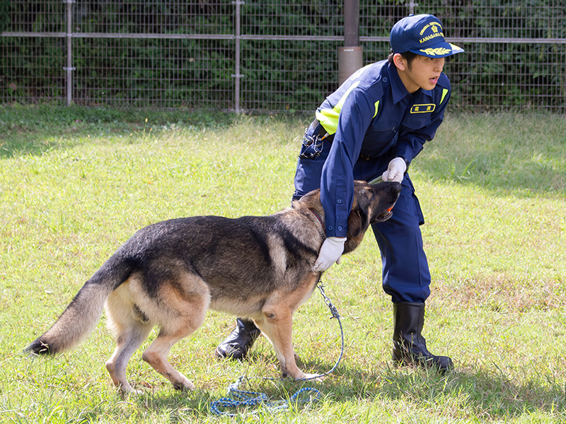 自然と動物に囲まれて育った子ども時代