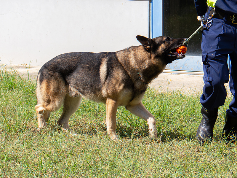 当直勤務を担当し、出動要請を受けて現場に出動